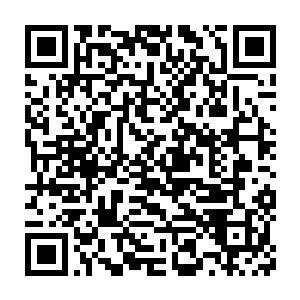 不死海的大长老和五长老便带领着不死海的其他强者结成了一个大阵二维码生成