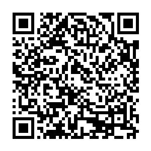 不清楚剧情的嘉宾们在过去的一小时内随着被劫持的众人挣扎在生死边缘二维码生成
