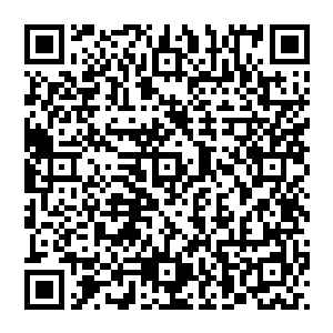 不然他实在想不通为什么一个九岁的小孩会知道如何防备山林里的毒蛇虫蚁和在密林中辨别方向等二维码生成