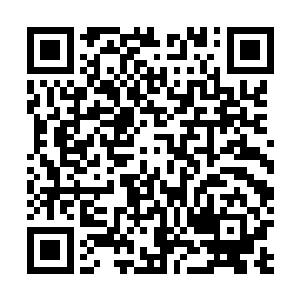 不然堂堂两个紫莲境界的修士还不如一个青莲境界的修士二维码生成