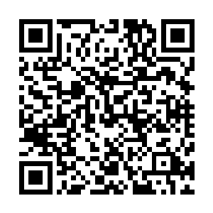 不然怎么会这么确定大舅继承家主之位的可能性近乎于没有二维码生成