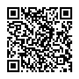 不然殿主一看我不在你身边怪我没有好好完成他的任务怎么办二维码生成