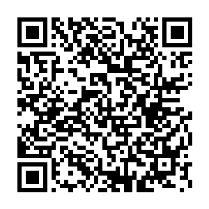 不然的话你以为我们昆仑派为什么能够一直占据整个地球修真界的龙头二维码生成