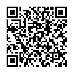 不然的话对于几大门派的威信可是一个不小的打击二维码生成