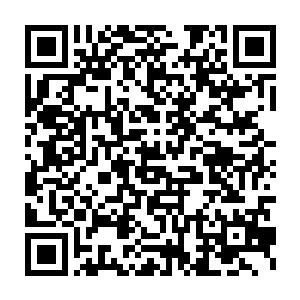 不然的话燕国皇朝也不会为了一种王级武赋而冒着逼反忠将的危险二维码生成