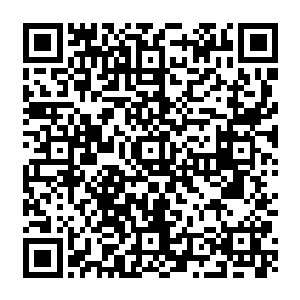 不然程白泽打小儿便认识这个姑姑熟的透透的也不可能是第一次见面跟我说在这里没有熟人二维码生成