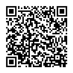 不然那远在加拿大的老师长不会把这个画在自己自传体日记般的小本上二维码生成