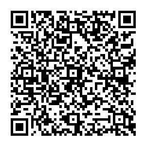 不然难以解释为什么妖力强横的妖王境界的九尾青璃妖居然在最初和自己遇见时只是区区筑基期的流墨墨体内择伏二维码生成