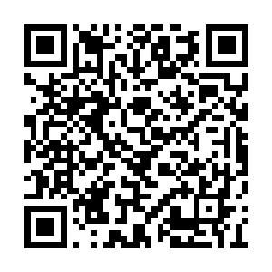 不理会娇蛮的小萝莉和看熊出没的林茵茵吵嘴了二维码生成