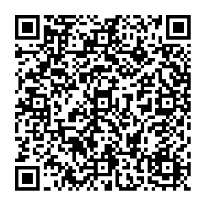 不用担心 我自然是有办法 只要你收集了激活界珠的四中东西 就能使用界珠的力量炼化 二维码生成