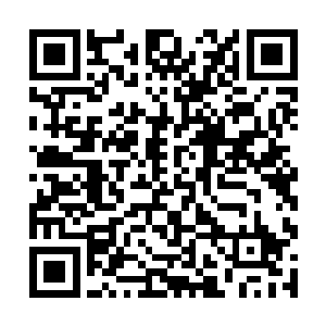 不用纠结今天要把陆校长的什么事情丢出去应付交差二维码生成