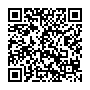 不用说这个体型华丽无比的神龙就是渡劫成功的许德拉了二维码生成