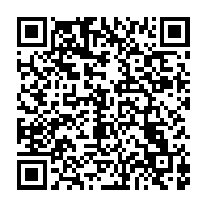 不由的原本打算着朝着蟒蛇和蛤蟆动手的众人此刻全部愣在了原地二维码生成