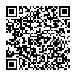 不由自主冒出了一个念头或许真的可以按照李思辰的话去试一试……二维码生成