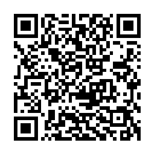 不由自主地便联想到了玉米在lpl上第一场比赛所使用的卡萨丁二维码生成