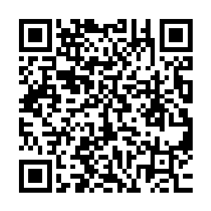 不知何时却再次握住了金玉律满是老茧的双手不停地上下摇着二维码生成