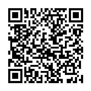 不知何时有一面巨大的水镜凭空出现在一排排青铜门上方二维码生成