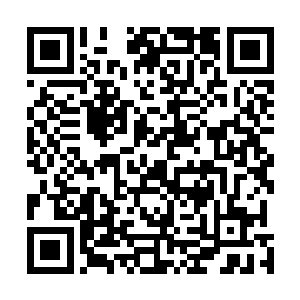 不知多少法阵和秘宝因为承受不住巨大的负荷而光芒暗淡二维码生成