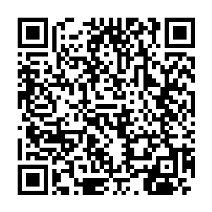 不知情的人肯定会误以为是您的美貌吸引了三只活生生的蜻蜓来仰慕您二维码生成