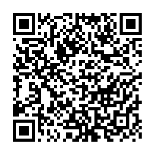 不知杀掠到何方早已失去意识的流墨墨到底会做出什么更疯狂的事情二维码生成