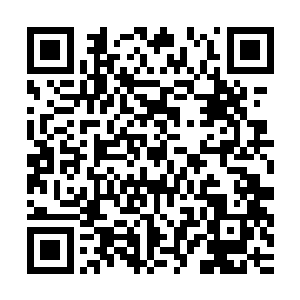 不知道为什么龙傲天感觉这三件东西在不断的散发着少许的灵力二维码生成