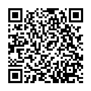 不知道为何墨小宝认准了冷君涵是个软绵绵的可以欺负的小包子二维码生成