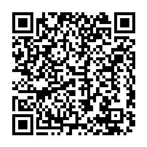不知道何时出现的一把合金军刺与麻生野手中的武士刀狠狠的撞击到了一起二维码生成