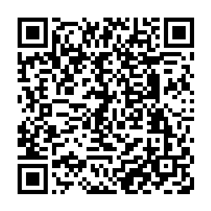 不知道是不是被沈凡的连续折磨给弄怕了还是受到了吞噬其他奇火的诱惑二维码生成