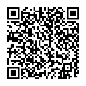 不知道是因为铁血异形所产下的异形卵和普通异形皇后所产下的异形卵有所不同二维码生成
