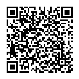 不知道齐修远读了信后会不会因为掌握的信息比别人少而耽误消息二维码生成