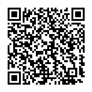 不知阿红和谢甲是不是被琴瑟色快速准确的找到正确的碎片而惊到二维码生成