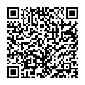 不禁开始期待起收获的那一天――虽然估计到时候他就已经不记得这件事了二维码生成