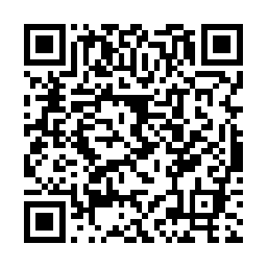 不管……过继……去哪里……都是我……的儿子……二维码生成