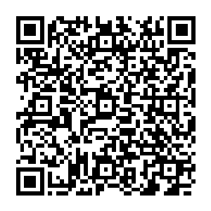 不管从语言上还是表情上都显示出方案是她亲力亲为并且经过了深思熟虑之后的结果二维码生成