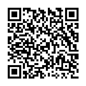 不管你觉得自己的成绩是否符合你自己预测的分数二维码生成