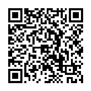 不管受了多重伤势的修士全都像是没事人一样爬了起来二维码生成
