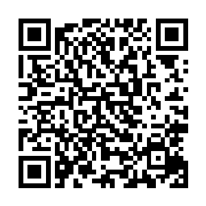 不管怎么说咱们这位新晋长老来到龙堂也算是有一段时间了二维码生成