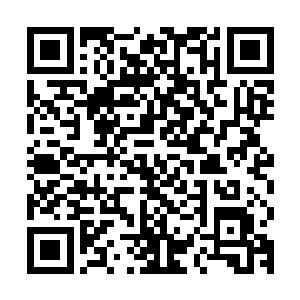 不管怎么说对方可是一名货真价实的大罗金神大圆满境界强者啊二维码生成