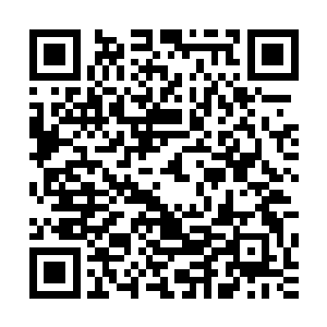 不管怎么说雅文刚才已经知道张雨晨是张璐涵的双胞胎妹妹了二维码生成