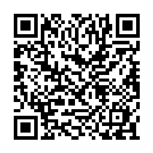 不管是为了要买符箓供给自身使用还是讨好代离二维码生成