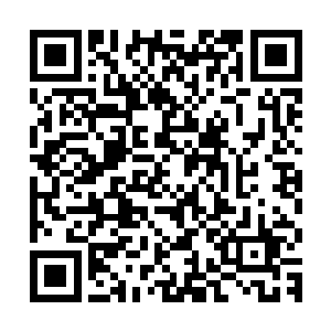 不管是原先质疑的还是原本就对凌蘭信任有加的队长以及团员们二维码生成