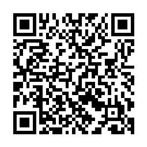 不管是发布悬赏任务还是来接取悬赏任务的人可谓是络绎不绝二维码生成