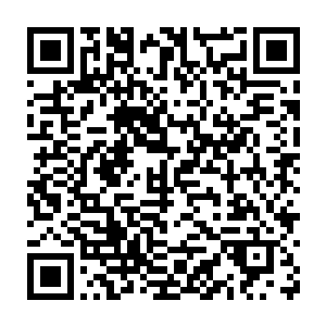 不管是呆在他肩头的大白还是缠在慕容仙儿手腕上的黑金都双眼一亮二维码生成