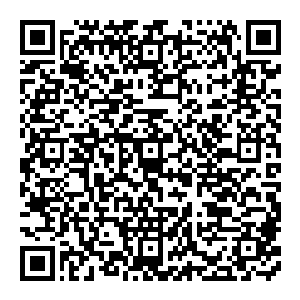不管是战斗　还是沒有战斗的　都呆呆的看着风清扬　在他们眼中　金丹大能就代表着无敌　有些人　穷其一生都不曾见过金丹大能出手二维码生成