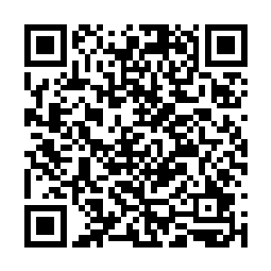 不管是通过什么方式将修为暴涨到圣域巅峰一重天二维码生成