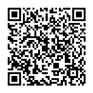 不管是魔宫中人还是奉薛三的命令回到门外正前方继续等候的抬软轿过来的几人二维码生成