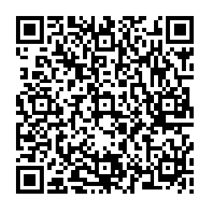 不管这位男弟子说的是真话还是为了在这传承之地寻找一个靠山而故意奉承的樊翘楚二维码生成