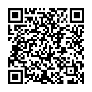 不管这家伙的心理究竟有多么的幼小也无法扭转那种实力差别二维码生成