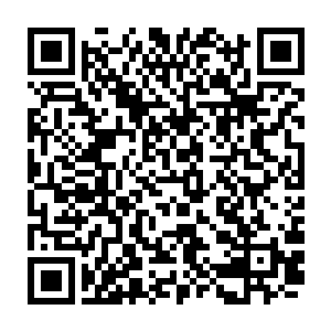 不管这支人族大军是如何在这么短时间内跨越原本需要十几年才能走过的路程二维码生成