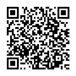 不管那些在水产城和环海集团签订了协议的商家们不是特别高兴二维码生成